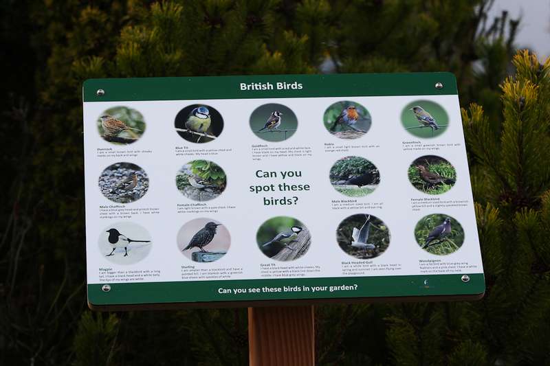 Standard Wooden Lecterns Nature Sign Design