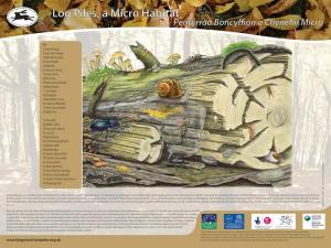 2sign_logpile_1000x750 2Sign_Logpile_1000x750