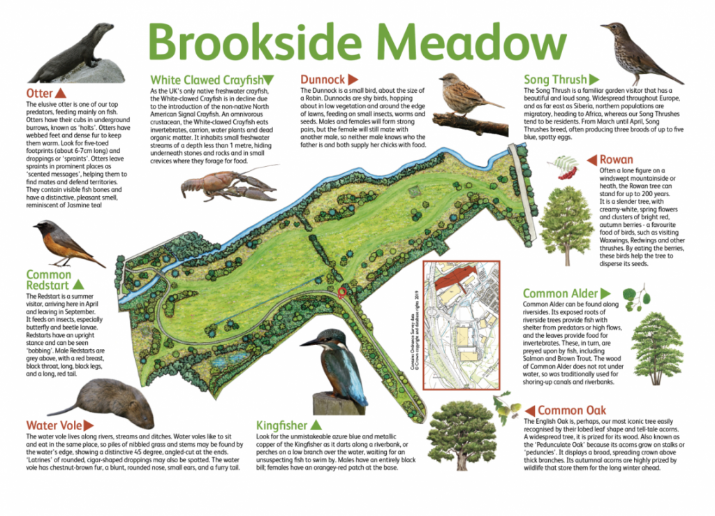 Brookside Meadow