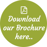 Download our brochure